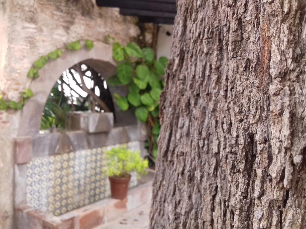 Hotel & Spa Dona Urraca San Miguel De Allende Kültér fotó