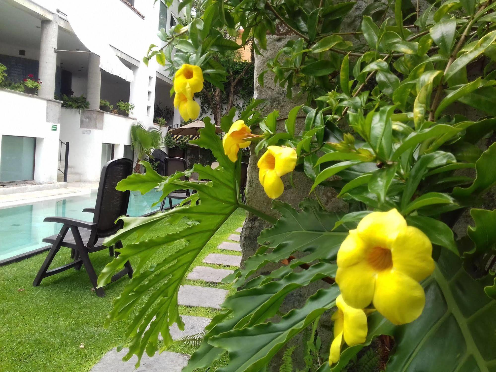 Hotel & Spa Dona Urraca San Miguel De Allende Kültér fotó